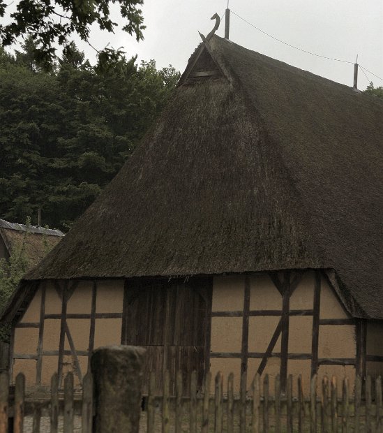 Dragon-roof House 2006-05-30@2126-22